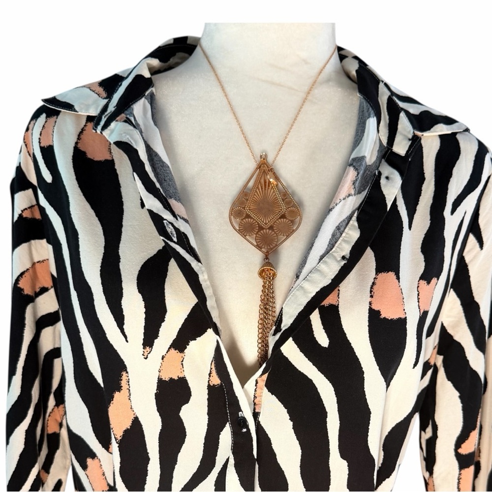 ALANIZ- Editorial Zebra Stripe Long Sleeve Button Down Shirt Dress- S NWOT - Picture 4 of 6